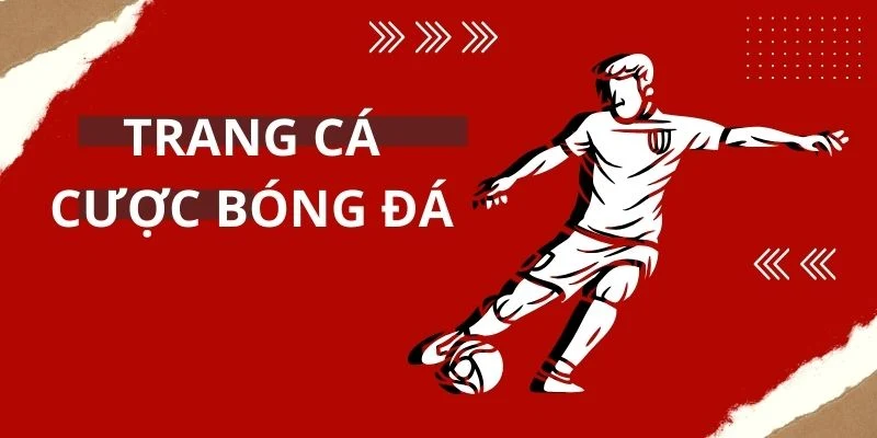 Tìm hiểu chung về trang cá cược bóng đá